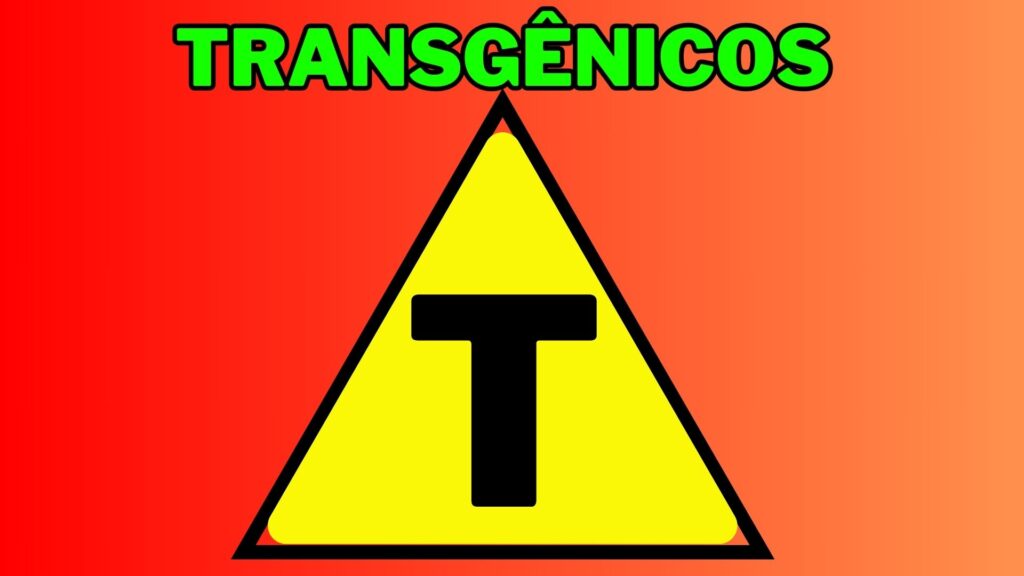  Gordura Trans na saúde